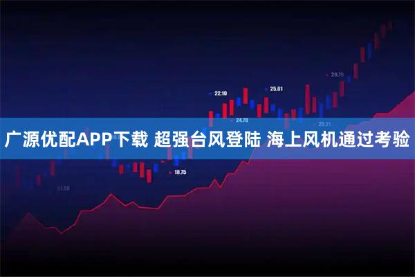 广源优配APP下载 超强台风登陆 海上风机通过考验